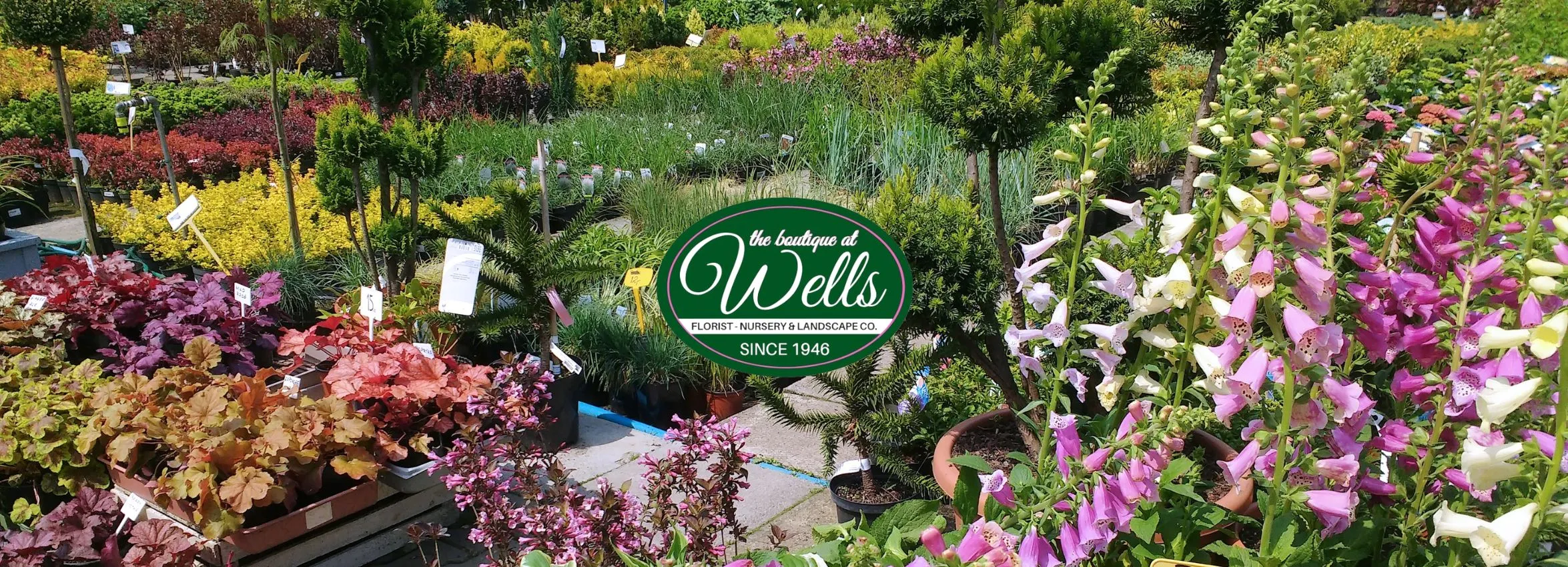 Wells-Florist-Nursery-and-Landscape-Co_Desktop_ET