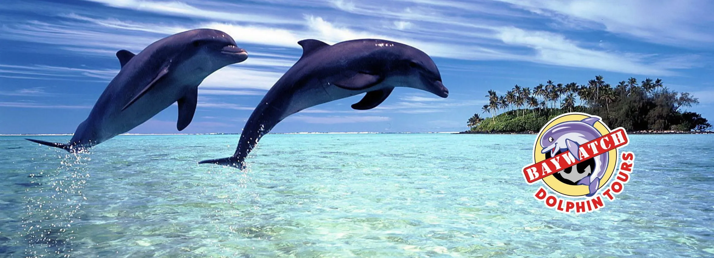 Baywatch-Dolphin-Tours_Desktop_ET