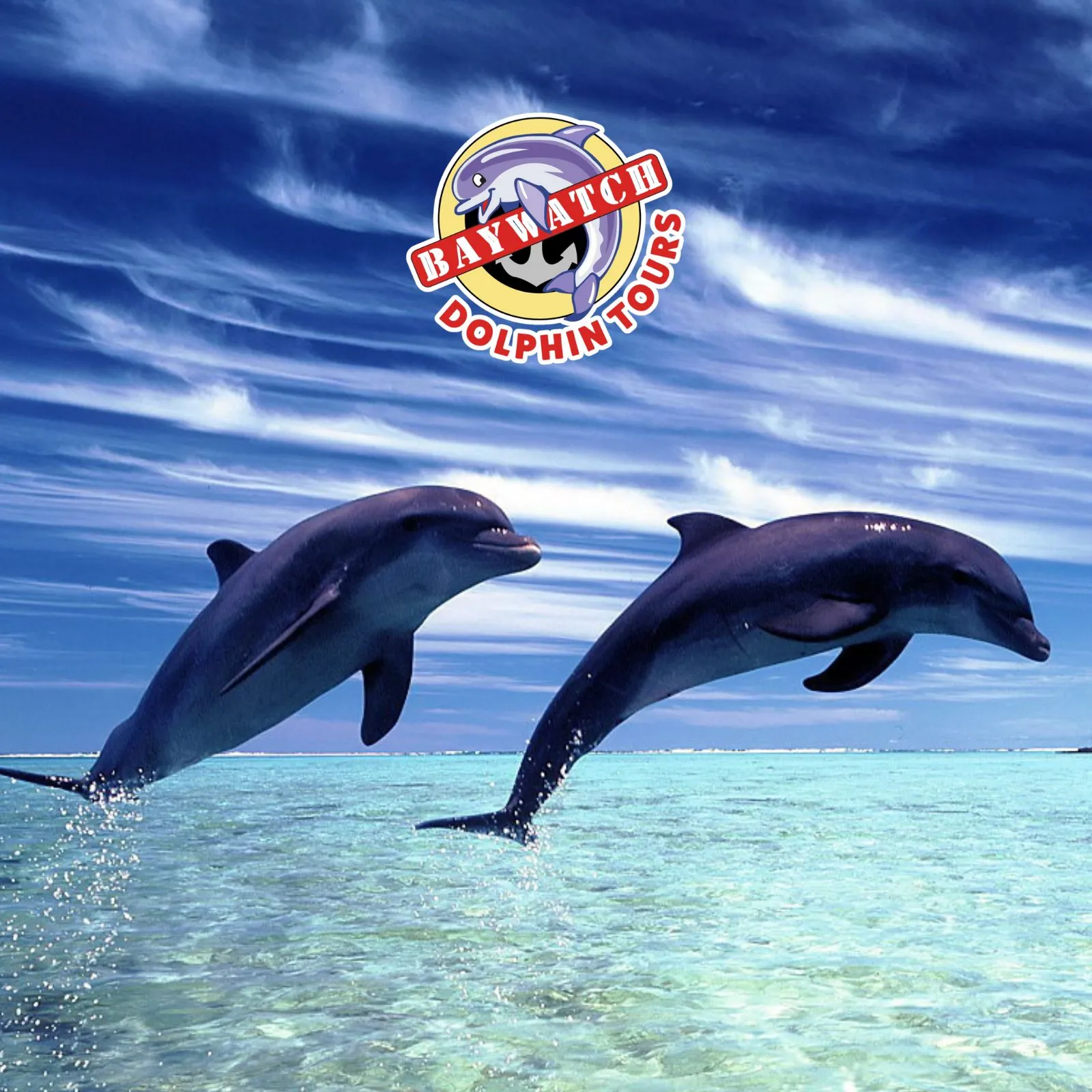 Baywatch-Dolphin-Tours_Mobile_ET