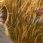 A-Place-for-Dreamers_Desktop_ET