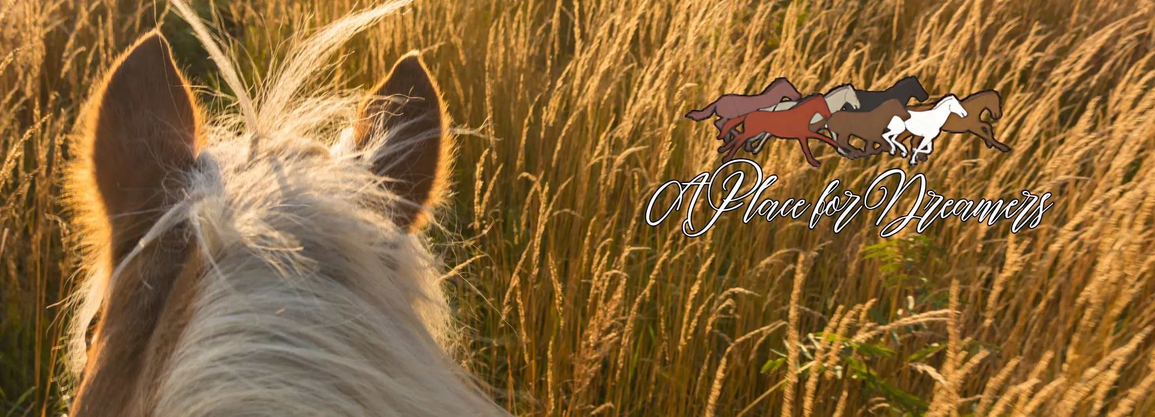 A-Place-for-Dreamers_Desktop_ET