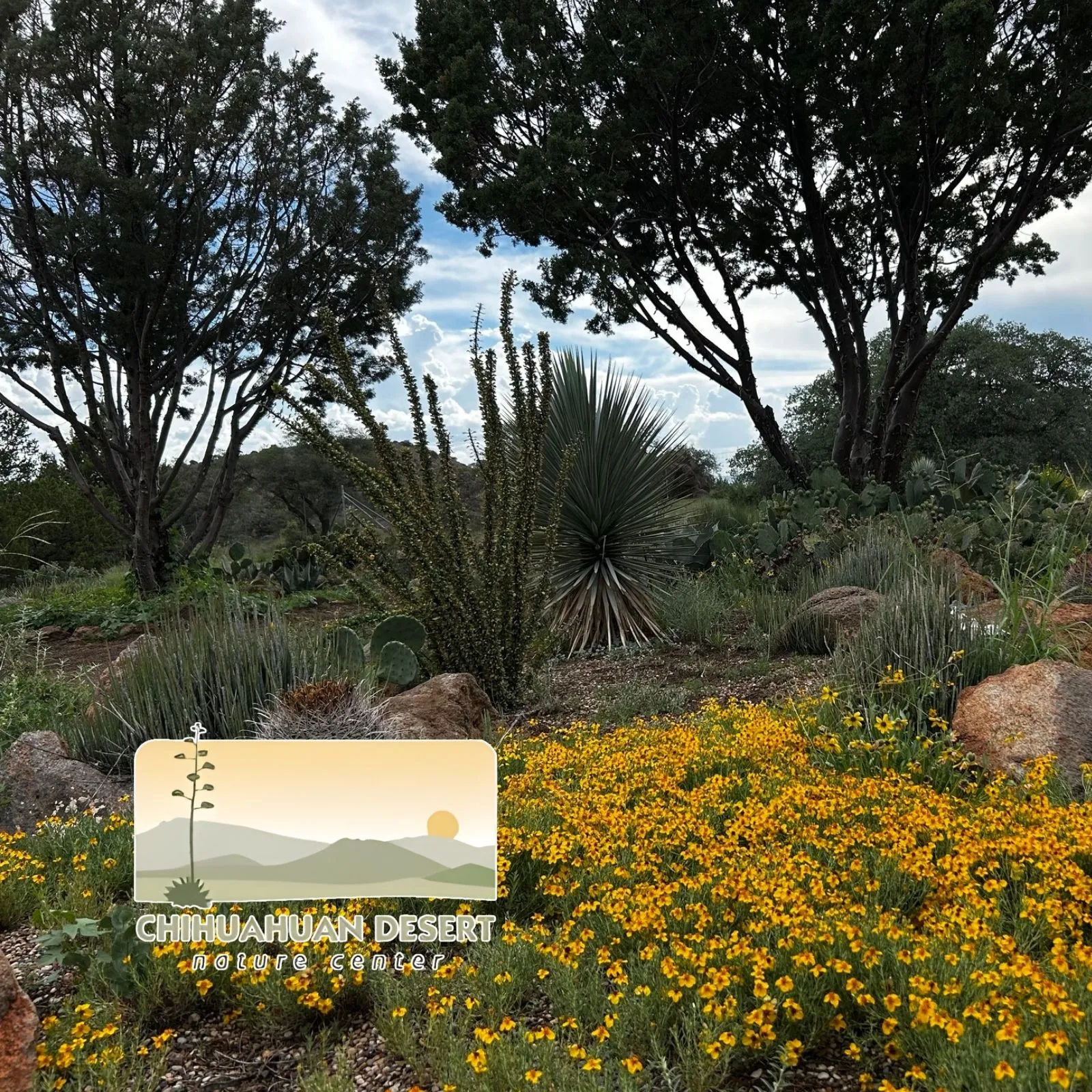 Chihuahuan-Desert-Research-Institute_Mobile_ET