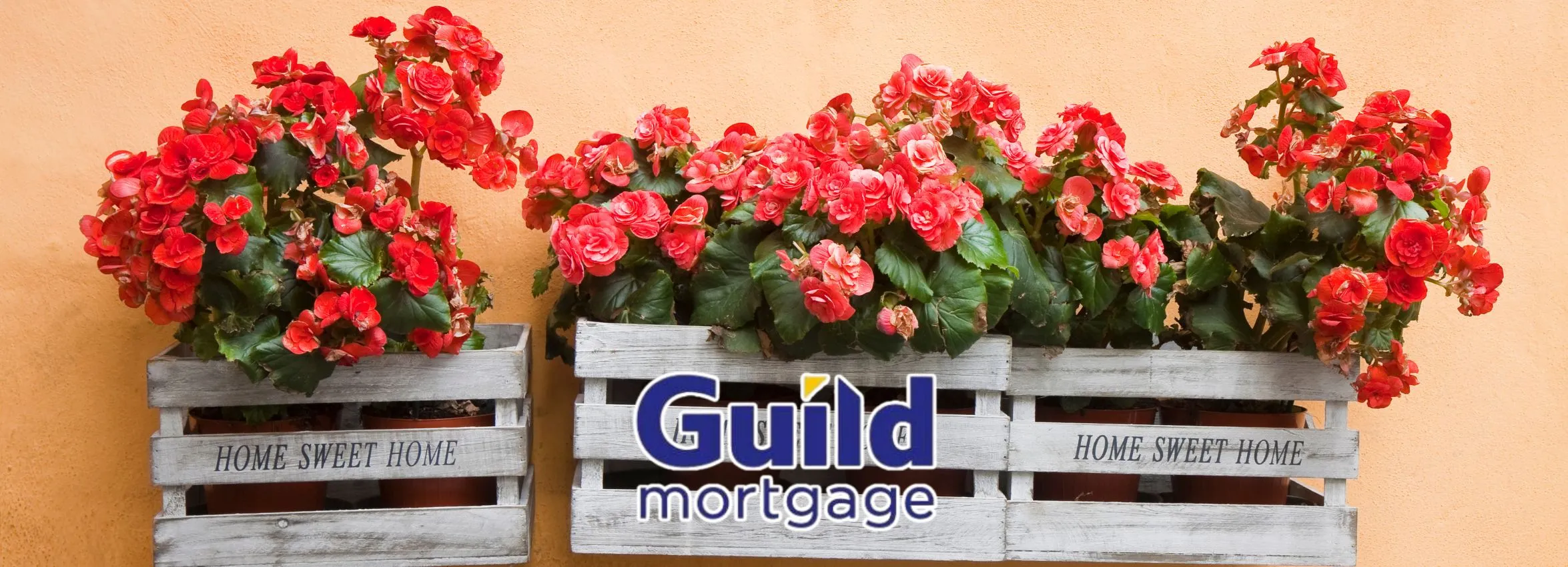 Guild-Mortgage_Desktop_ET