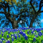 Mason-County-Title-Co_Desktop_ET