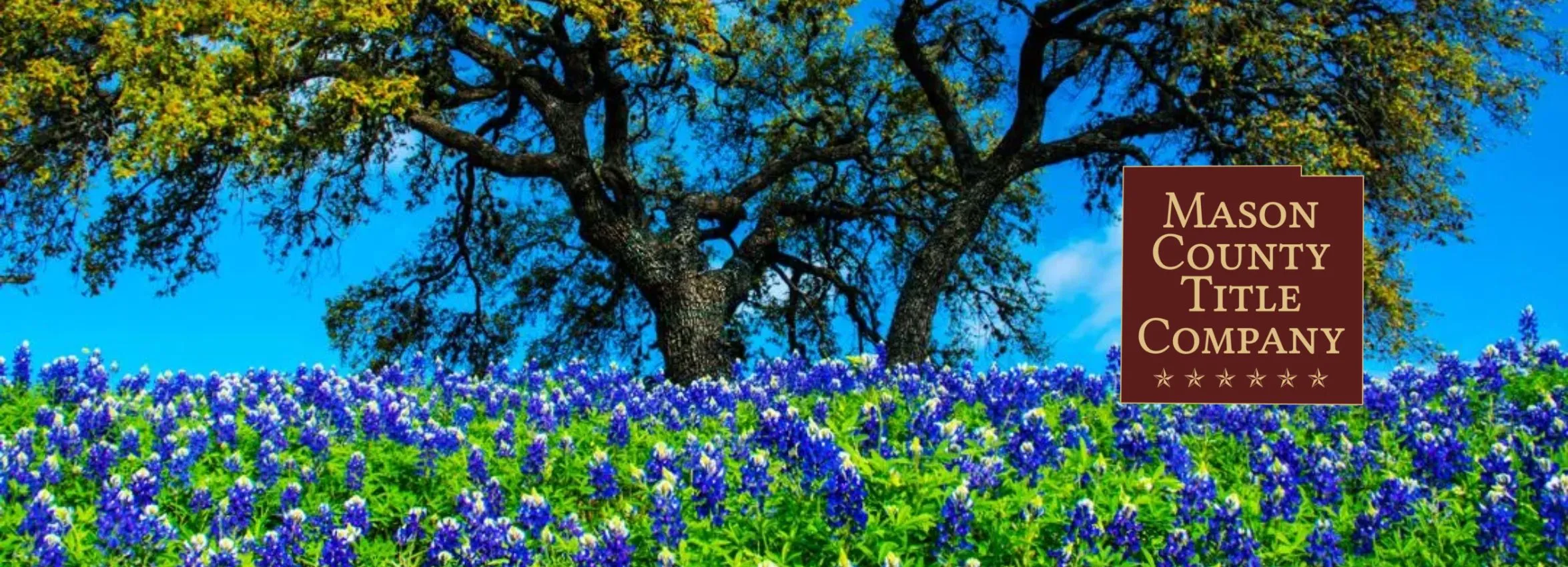 Mason-County-Title-Co_Desktop_ET