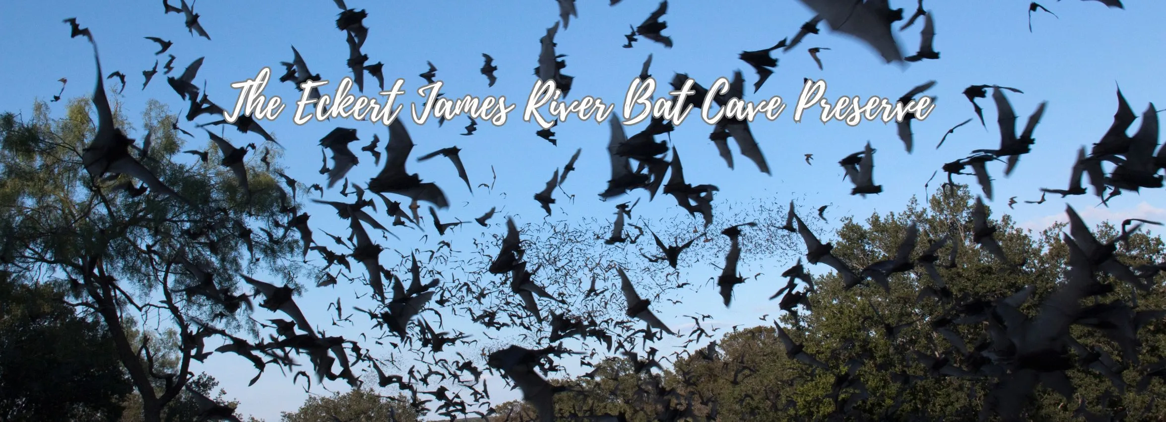 The-Eckert-James-River-Bat-Cave-Preserve_Desktop_ET