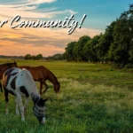 Welcome-to-our-Community_-5a_Desktop_ET