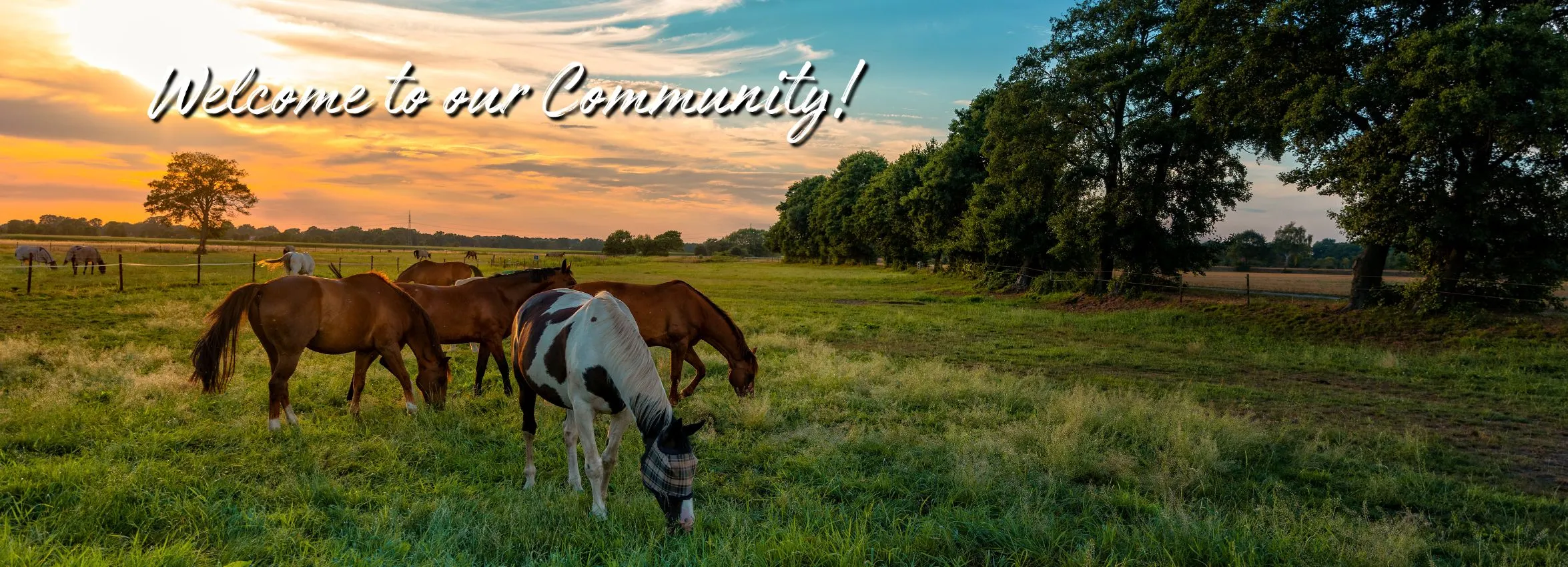 Welcome-to-our-Community_-5a_Desktop_ET