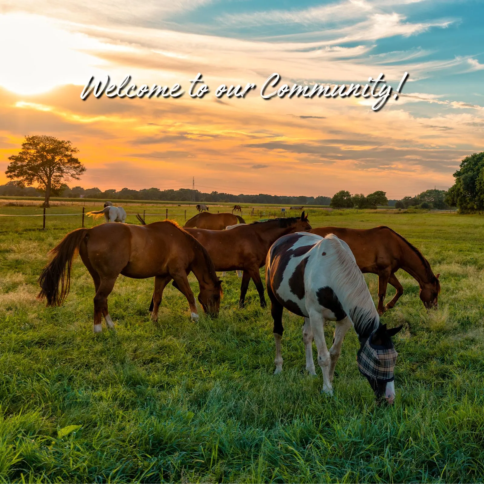 Welcome-to-our-Community_-5b_Mobile_ET