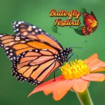 Butterfly-Festival_Mobile_ET