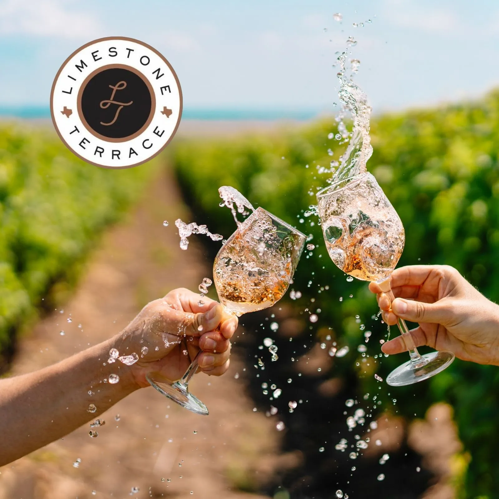 Limestone-Terrace-Vineyard-_Mobile_ET