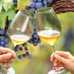 Red-Rock-Vineyard_Desktop_ET