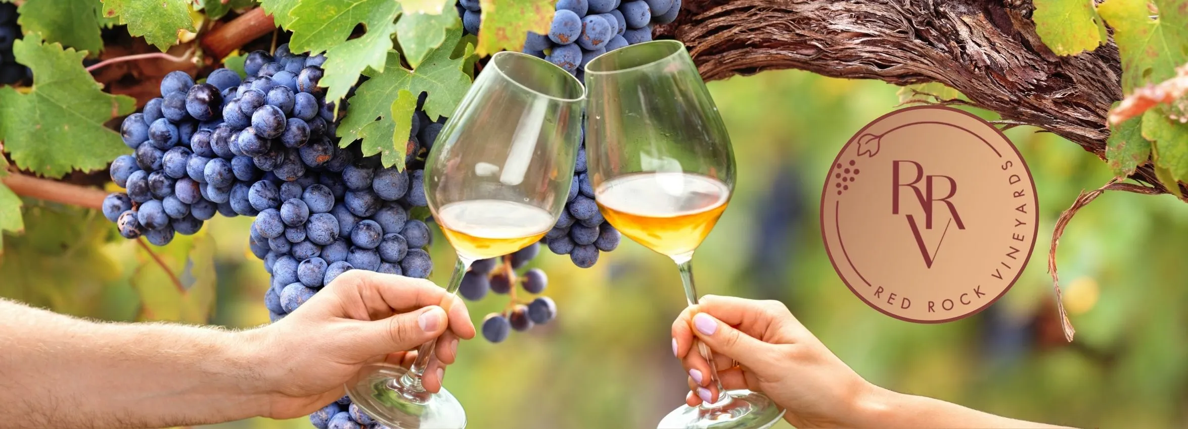 Red-Rock-Vineyard_Desktop_ET