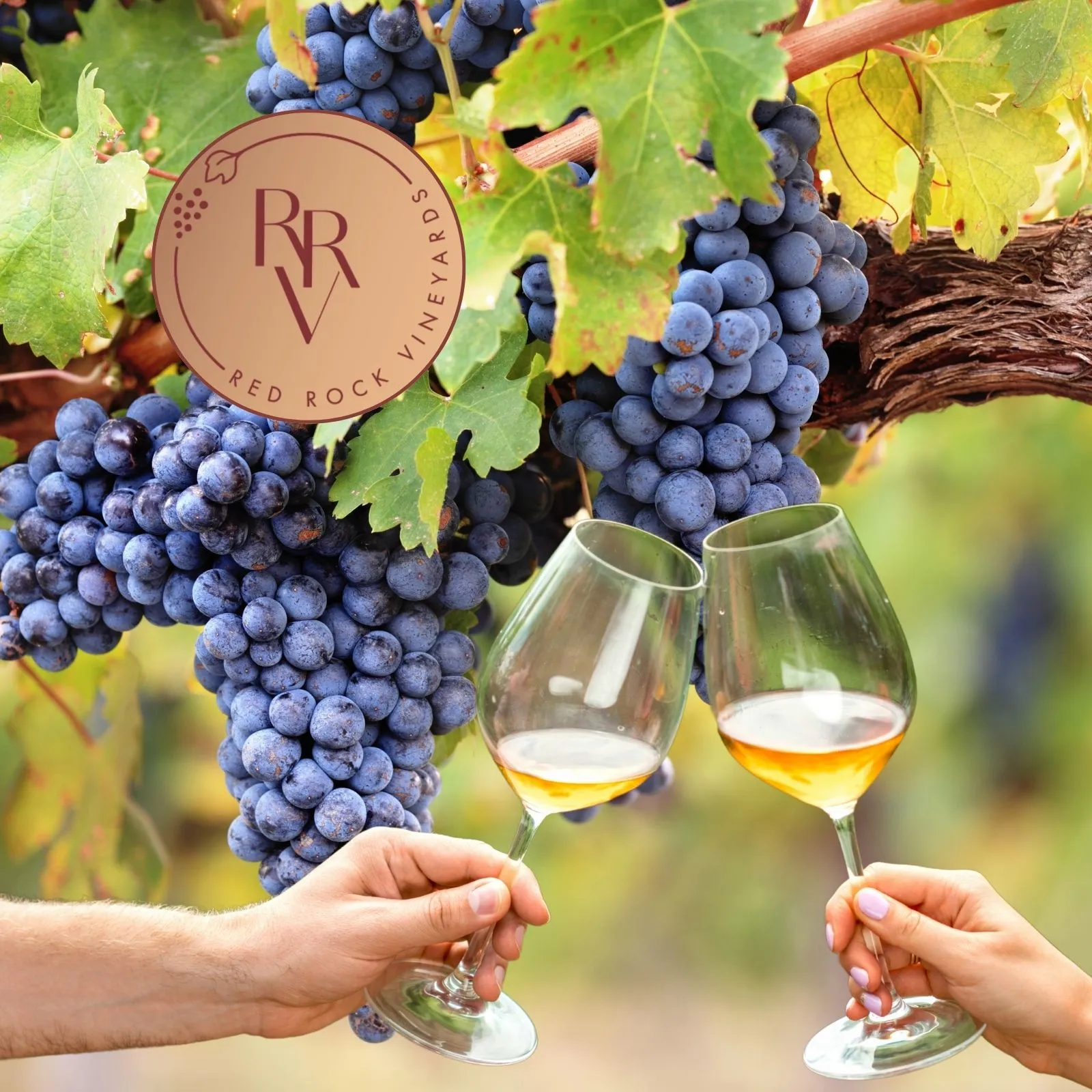 Red-Rock-Vineyard_Mobile_ET