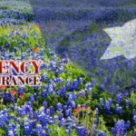 The-Nolan-Agency-Insurance_Desktop_ET