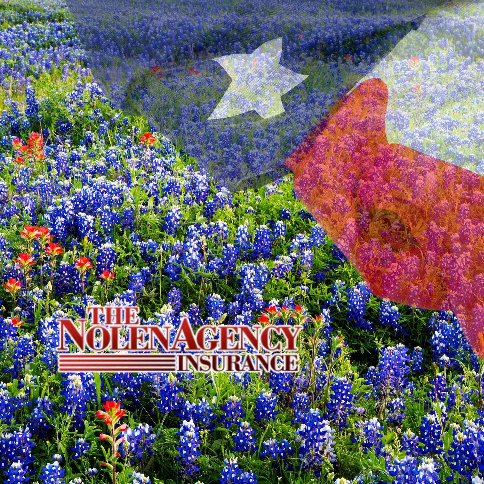 The-Nolan-Agency-Insurance_Mobile_ET