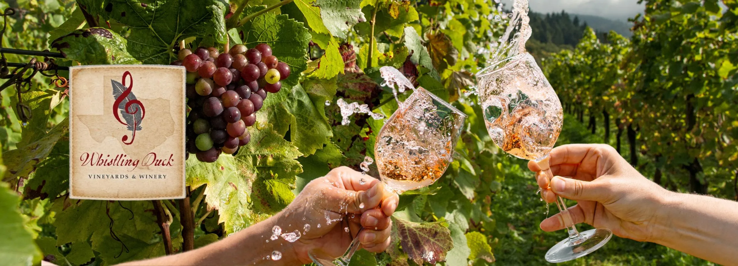 Whistling-Duck-Vineyards-and-Winery_Desktop_ET