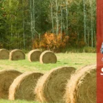 Daisy-Olvera-State-Farm-Insurance_Desktop_ET