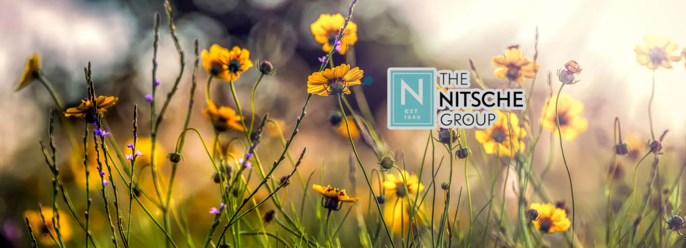 The-Nitche-Group_Desktop_ET