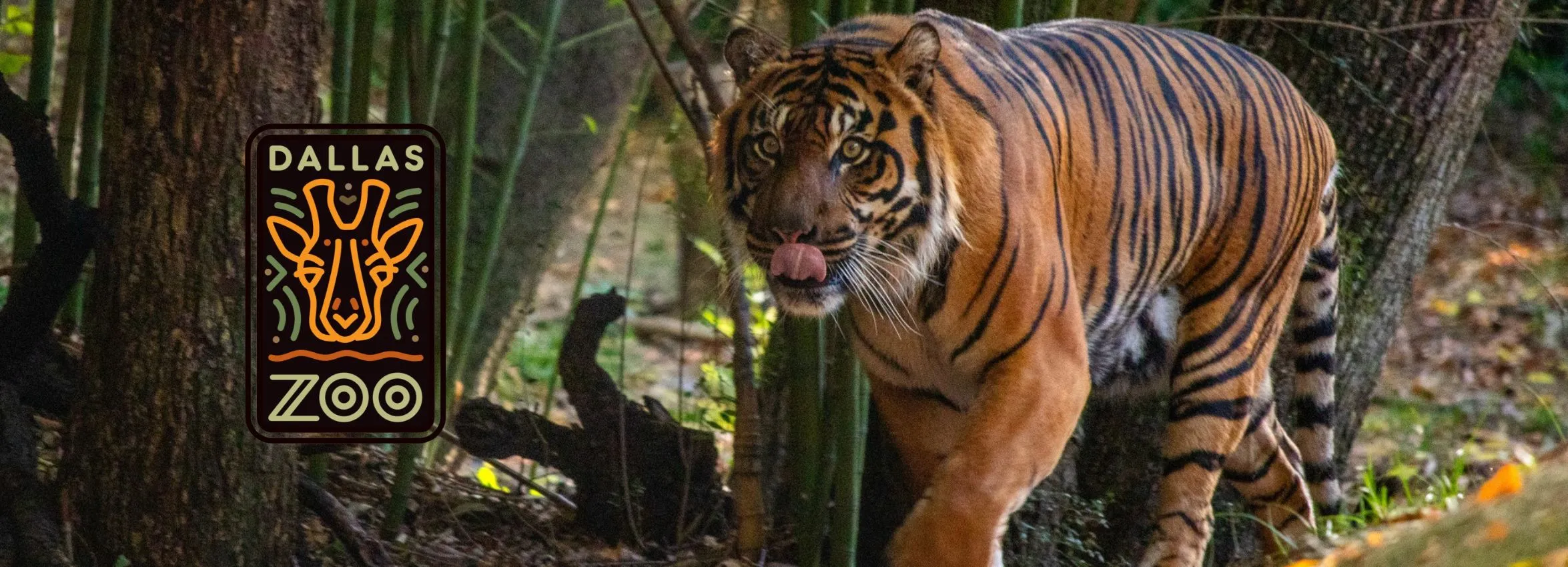 Dallas-Zoo_Desktop_ET