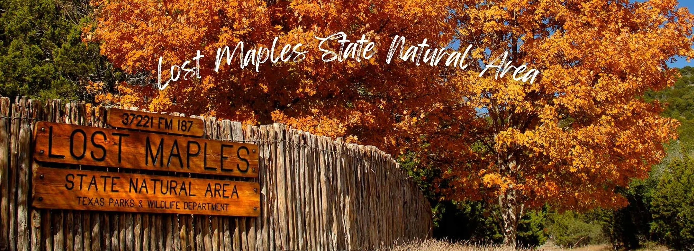 Lost-Maples-State-Natural-Area_Desktop_ET