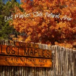 Lost-Maples-State-Natural-Area_Mobile_ET