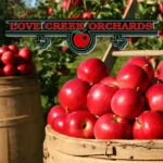 Love-Creek-Orchards_Desktop_ET