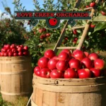 Love-Creek-Orchards_Mobile_ET