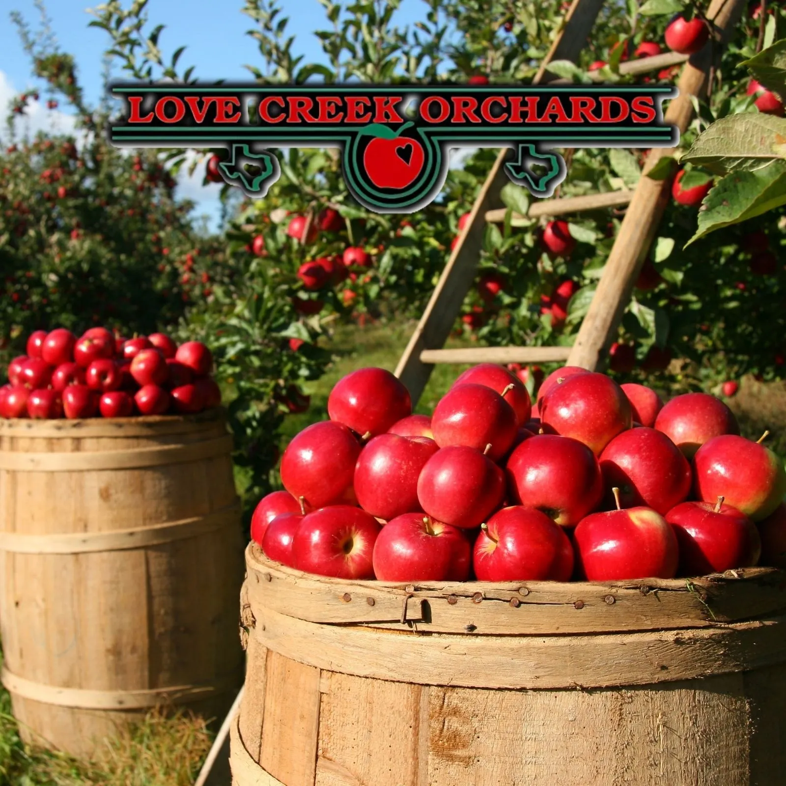Love-Creek-Orchards_Mobile_ET