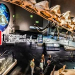 Perot-Museum-of-Nature-and-Science_Desktop_ET