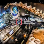 Perot-Museum-of-Nature-and-Science_Mobile_ET