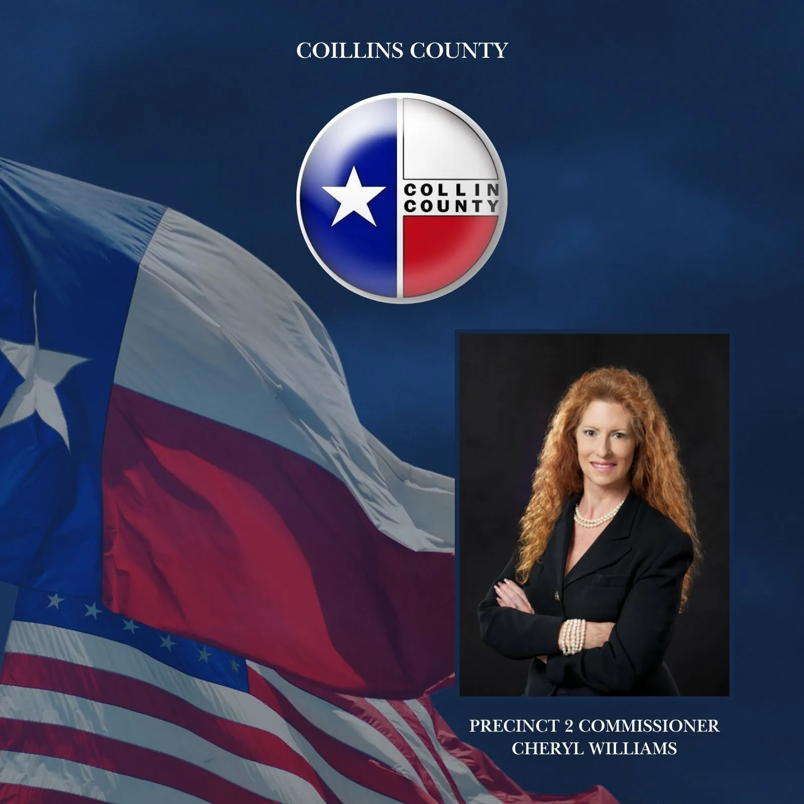 Precinct-2-Commissioner-Cheryl-Williams_Mobile_ET