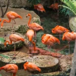 The-Dallas-World-Aquarium_Desktop_ET