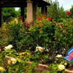 South-Texas-Botanical-Gardens_Desktop_ET