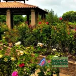 South-Texas-Botanical-Gardens_Mobile_ET