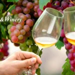Angelita-Vineyard-and-Winery_Desktop_ET