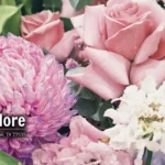 Flowers-and-More_Desktop_ET