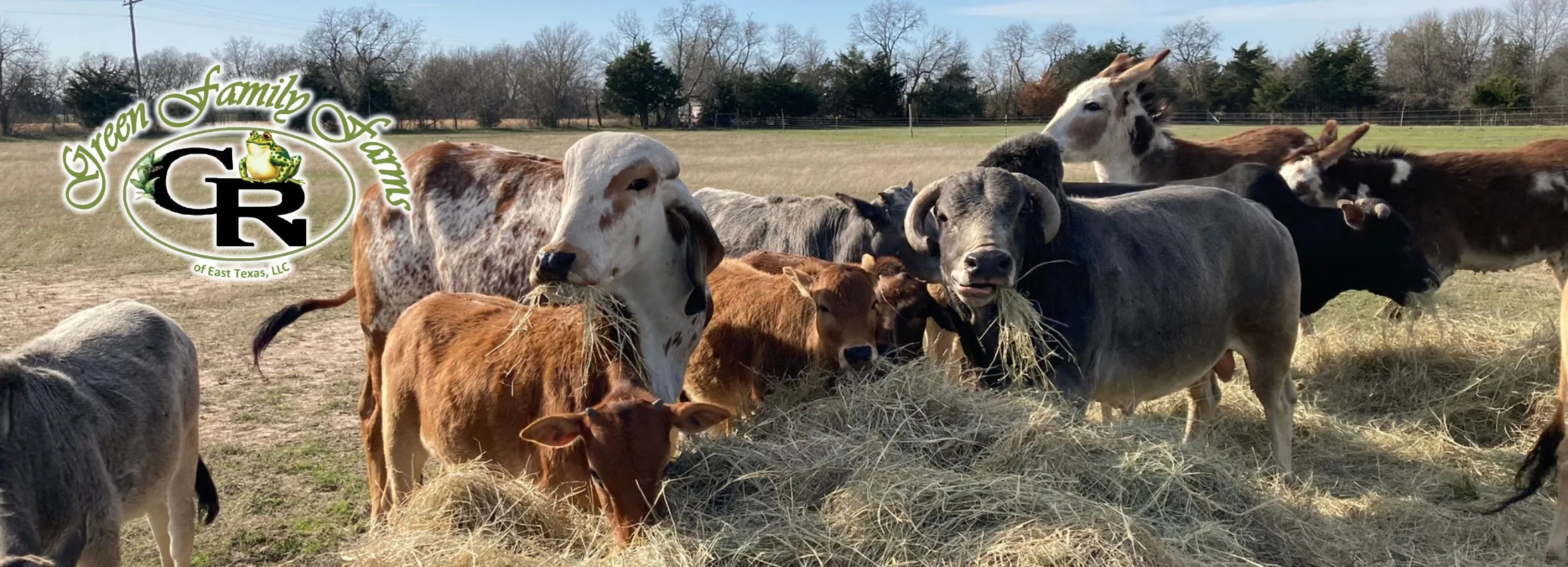 Green-Family-Farms_Desktop_ET