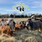 Green-Family-Farms_Mobile_ET