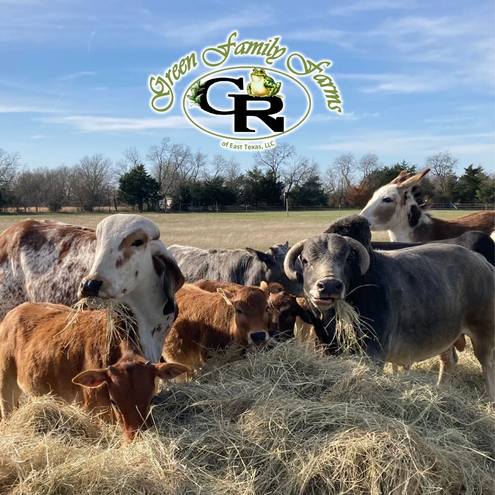 Green-Family-Farms_Mobile_ET