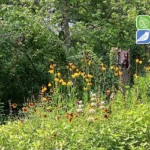 Nature-Discovery-Center_Desktop_ET