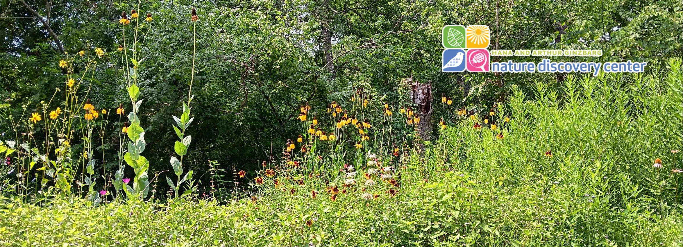 Nature-Discovery-Center_Desktop_ET