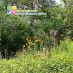 Nature-Discovery-Center_Mobile_ET