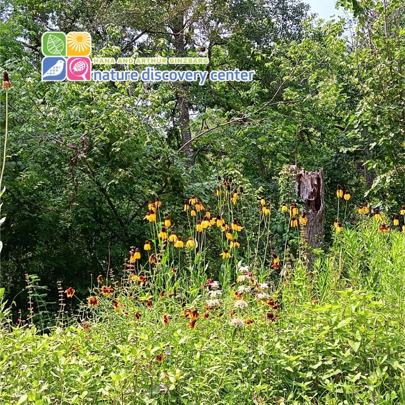 Nature-Discovery-Center_Mobile_ET