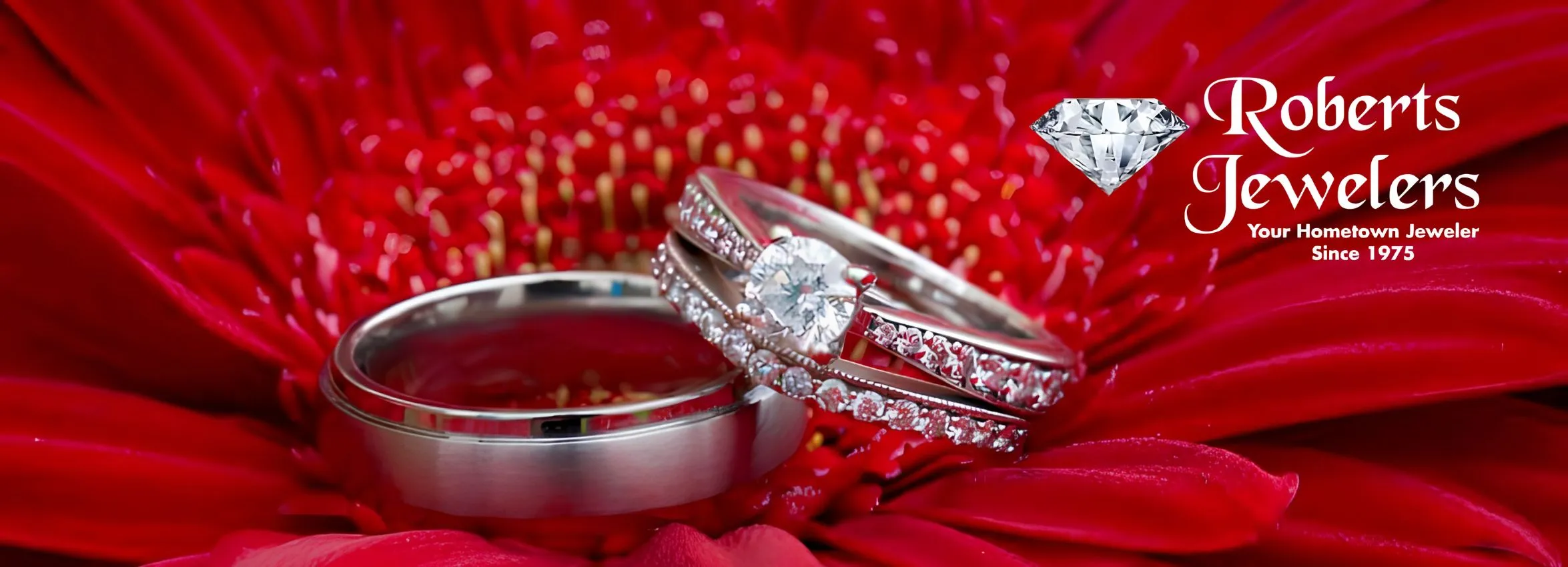 Roberts-Jewelers_Desktop_ET