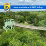 Santa-Ana-National-Wildlife-Refuge_Mobile_ET