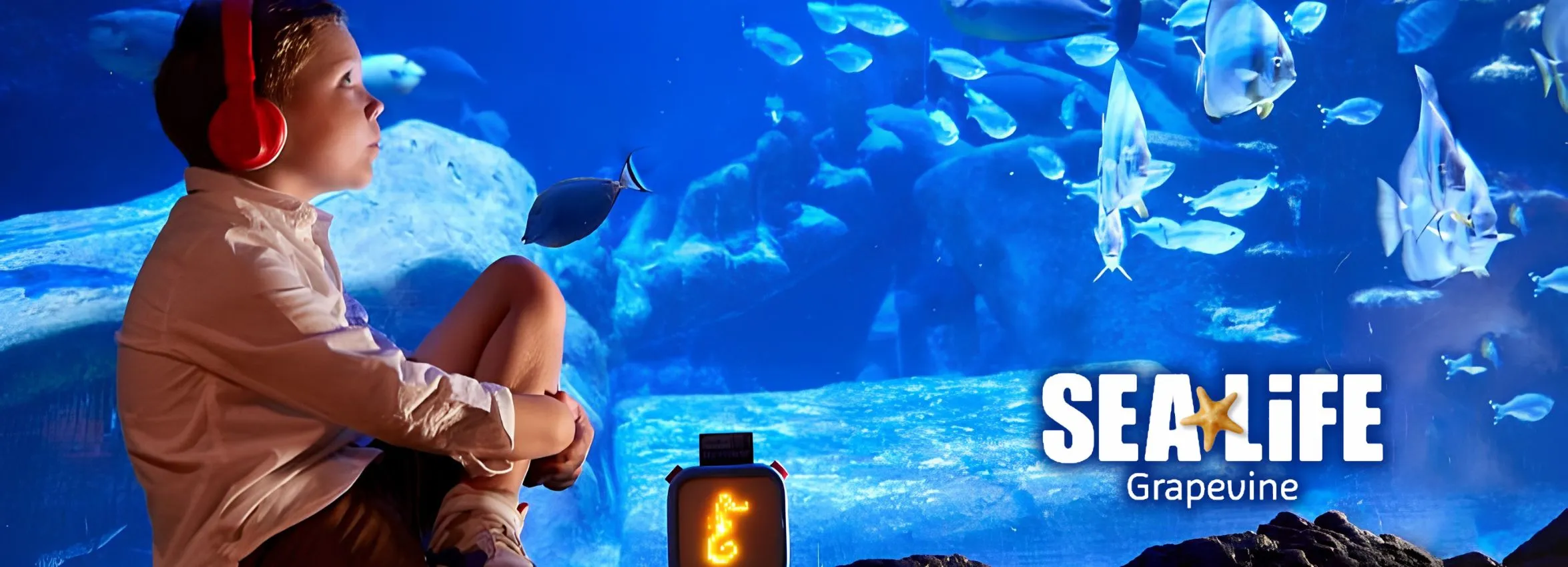 Sea-Life_Desktop_ET