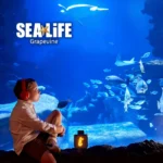 Sea-Life_Mobile_ET