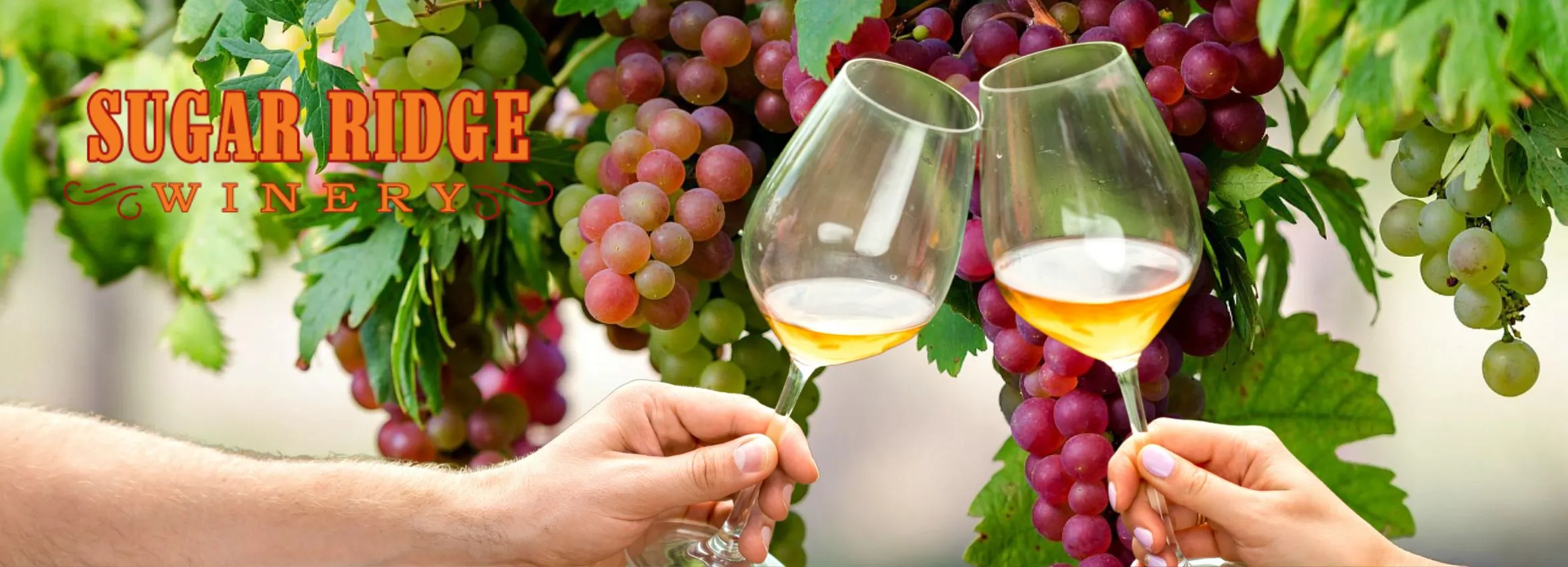 Sugar-Ridge-Winery_Desktop_ET