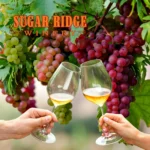 Sugar-Ridge-Winery_Mobile_ET